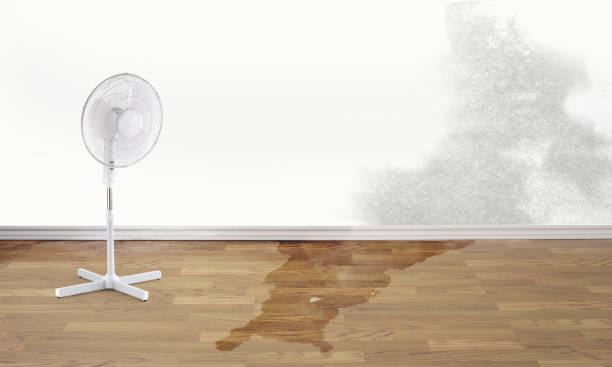 Best Fire Damage Restoration  in Tumter, WA