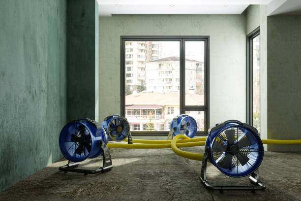 Water damage restoration process in WA