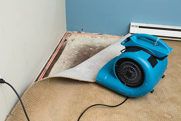 Best Ceiling water damage repair  in Tumter, WA
